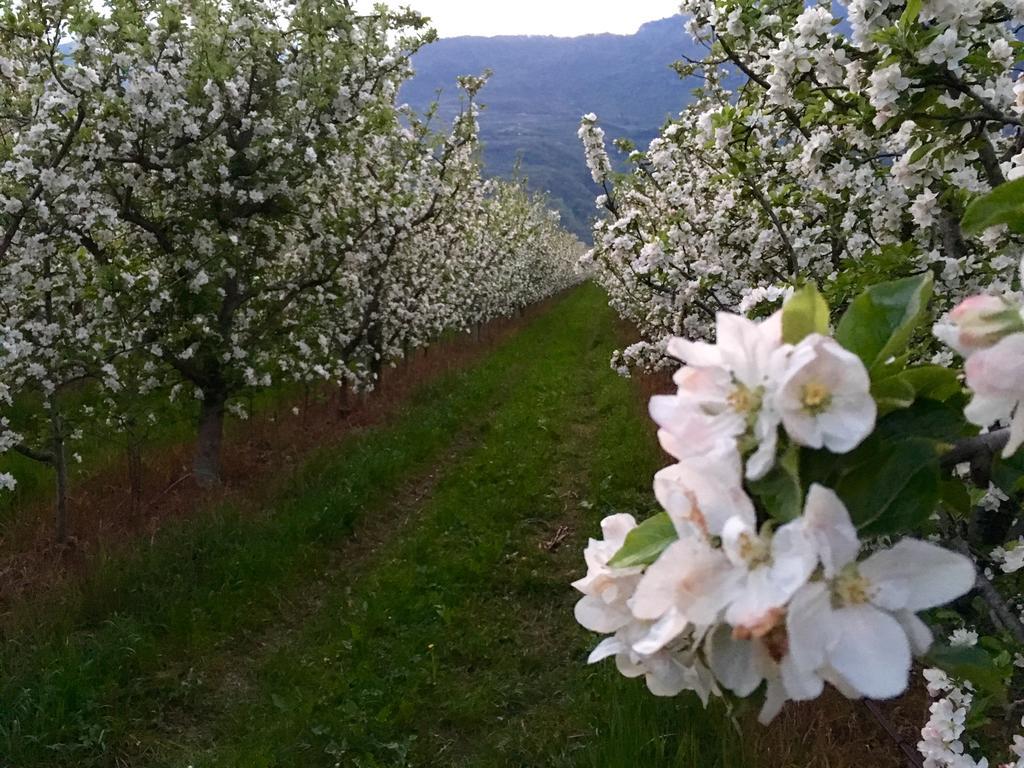 Arcovacanze Dış mekan fotoğraf